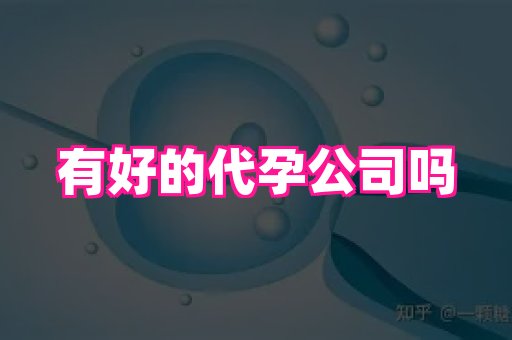武汉助孕网站 1