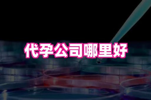 武汉助孕网站 3